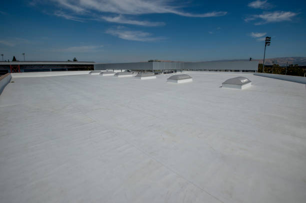 Best Steel Roofing  in Rose Hill, VA