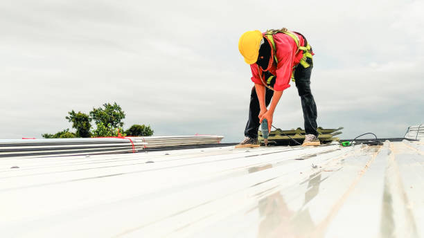 Best Metal Roofing Installation  in Rose Hill, VA